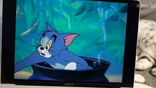 Lihat makanan enak dari Tom and Jerry! Keju kacang?
