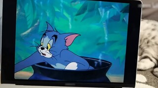 แวะชิมอาหารอร่อยจาก Tom and Jerry! นัทชีส?