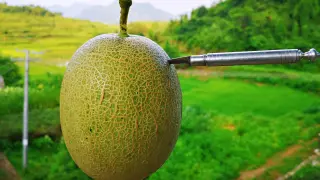 Master: Please make this 25 dollar melon look like it is worth 250 dollars!