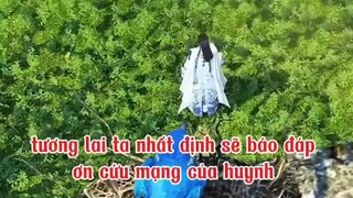 full _ trả ân tình