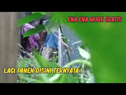 Sssssttt JANGAN BERSIK !