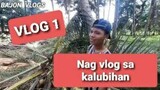 Nag vlog sa kalubihan | BAJON VLOGS | By Toxic Studio