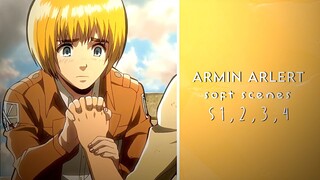 Armin Arlert || Soft Scenes || Attack on Titan