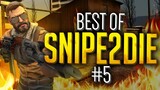 CS:GO - BEST OF Snipe2Die #5