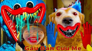 Thú Cưng TV | Gâu Đần và Bà Mẹ #36 | Chó Golden Gâu Đần thông minh vui nhộn | Pets cute smart dog