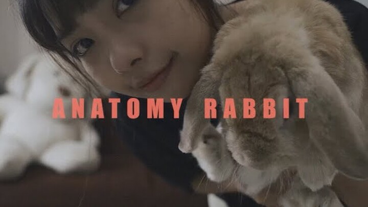 ANATOMY RABBIT - แอบหวัง | Daydreamer [ OFFICIAL MV ]