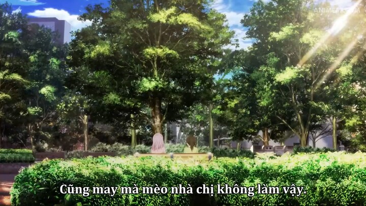 Dekiru Neko wa Kyou mo Yuuutsu: Tập 5 [Vietsub]