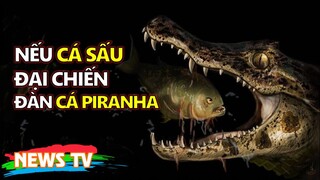 Điều sẽ xảy ra nếu thả một con CÁ SẤU vào hồ đầy CÁ PIRANHA?