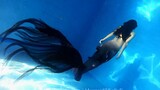 A Dark Mermaid Free Diving