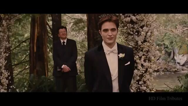 The eclipse.  Breaking down.  Bella and Edward Wedding 👰🤵