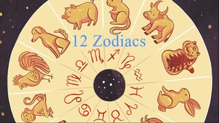 12 Chinese Zodiacs (12 Con Giap)