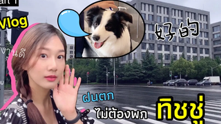 EP。22 บ้านไม่เอา จะเอาเตียงนอน คนจีนเขาว่า ! ครั้งแรกกับการ Vlog พาชมเมืองใหม่เซี่ยงไฮ้