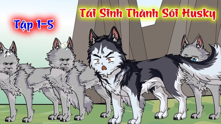 Tập 1-5 | Tái sinh thành sói Husky | ADK Review