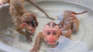 Routine Bathing!! Yaya tongue out so happy taking bath & enjoys swimming with Toto