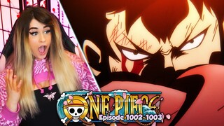 Akazaya vs. Kaido | One Piece Episode 1002 - 1003 Reaction + Review!