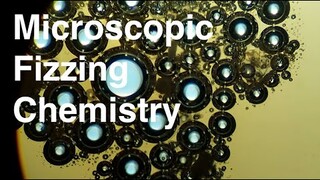 Fizzing Chemistry: Baking Soda and Vinegar Reaction under Microscope + Time Lapse