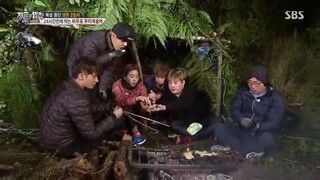 Law of the Jungle in Wild New Zealand [3] ENG SUB