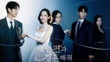 Marry my husband [Review]
