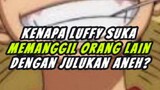 Kenapa Luffy Suka Memanggil Orang Lain Dengan Julukan Aneh ?