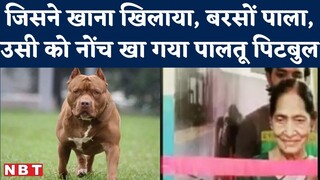 Lucknow: Pitbull Dog बेटे ने पाला था, उसकी गैरमौजूदगी में Mother को नोंच डाला, मौत