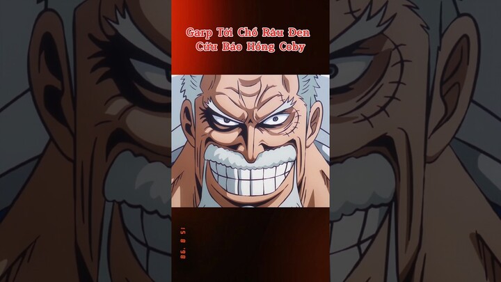 Garp Tới Đảo Hải Tặc Cứu Báo Hồng 👿 #reviewanime #onepiece #tomtatanime #anime #onepieceedit