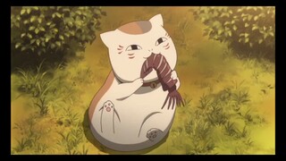 RIP nyanko Sensei :v