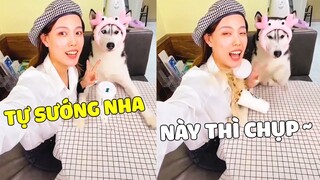 Ngáo Cho Sen Hay - GIA MÔN BẤT HẠNH, GIA CHỦ BẤT LỰC 🤣 Gâu Đần Official