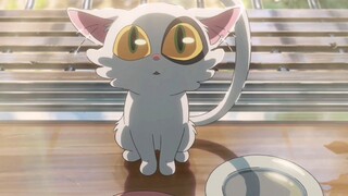 [Hành trình của Bộ trưởng Suzuya] Nửa đầu: Mèo con tốt hay xấu, nửa sau: Con tôi, con tôi! ! ! ! !