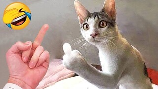 New Funny Animals 😂 Funniest Cats and Dogs 2023 😹🐶 Part 7