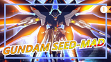 [GUNDAM]We look forward to tomorrow,but do not need the same world|SEED-MAD_1