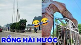 Chú rồng với tạo hình hài hước ở Quang Ninh đã được bế đi tu sửa lại - Top comment hài hước FB.