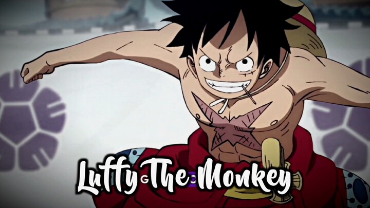 Amvin x Luffy 2