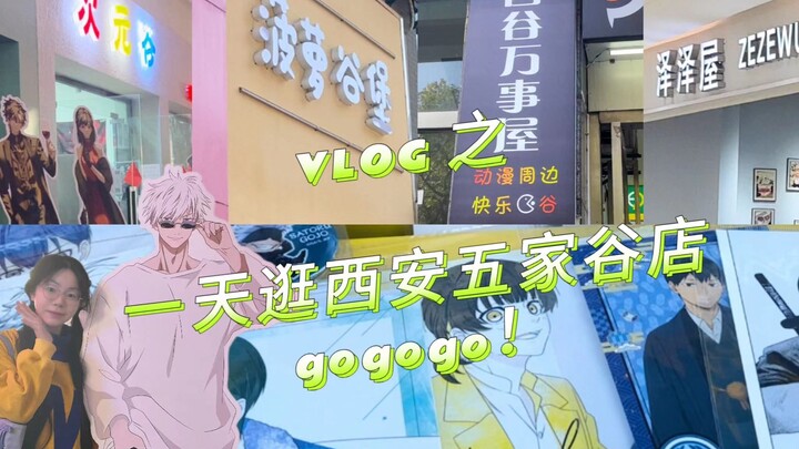 电子榨菜买谷vlog| 咒回op循环| 感觉自己像特种兵，这次之后西安的谷店差不多都逛完啦