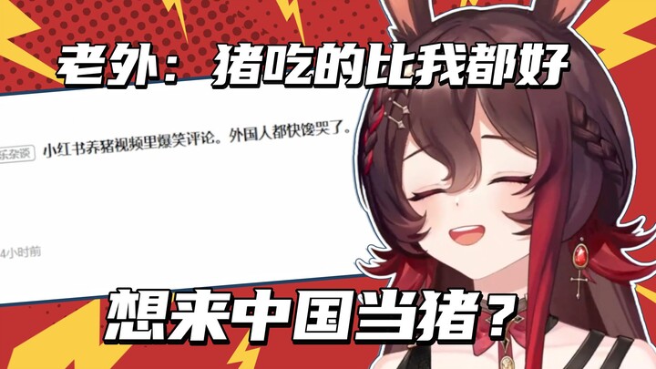 猪吃的比老外还营养？驻日驴驴看《小红书养猪视频里爆笑评论。外国人都快馋哭了。》【伊菲不是小火驴﻿/Rection】