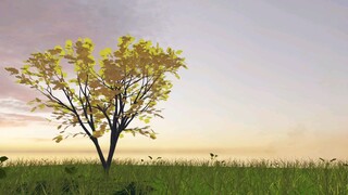 animasi pemandangan,animasi 3D|blender 3D