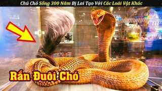 Chú Chó 300 Tuổi Giúp Các Loài Động Vật Khác Tiến Hóa | Review Phim Điệp Vụ Chó Xù