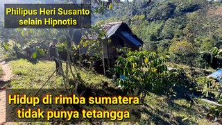 Suasana hidup di rimba sumatera damai indah jauh tersembunyi