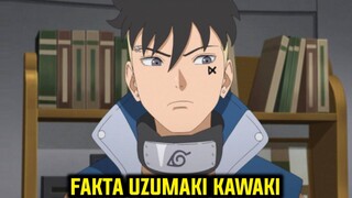 Fakta Menarik Kawaki Melindungi Naruto