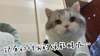 和小猫咪的周末～这样的生活也太治愈了吧！