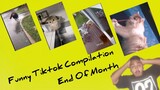 Funny Tiktok Compilation 2021 End Of Month | Reaction | @Tropicalboyreacts