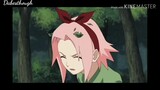 Lily ~ Sakura Haruno AMV