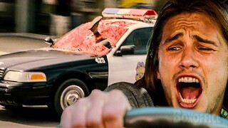 I don't work for the law the law works for me | Pineapple Express | CLIP