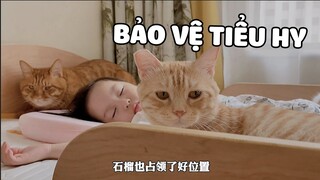 Thời gian tươi đẹp nhất là khi các nhóc mèo cùng ngủ trưa vs cục cưng ❤ | Pets TV