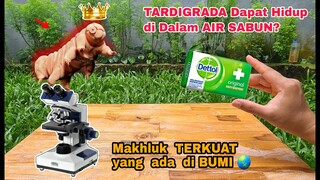 EKSPERIMEN: TARDIGRADA vs SABUN MANDI