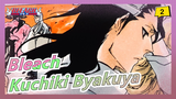 [Bleach] [AMV/Kuchiki Byakuya] Circles - Mashup Adegan Pertarungan Kuchiki Byakuya_2