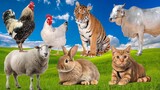 Funny Animal Sounds Around Us: Rabbit, Sheep, Chicken, Cat, Bull, Tiger,... | Animal Moments