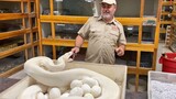 Lingkaran Binatang|Kumpulan Binatang|Mengambil Telur Ular Putih