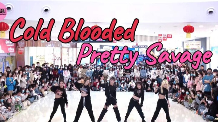 [Street Warriors] This lineup is amazing! Cold Blooded & Pretty Savage road show cover dance | Sing 