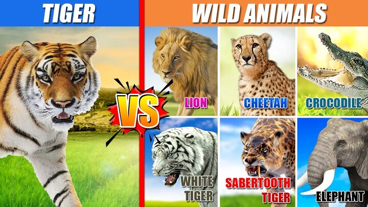 Tiger vs Wild Animals | SPORE
