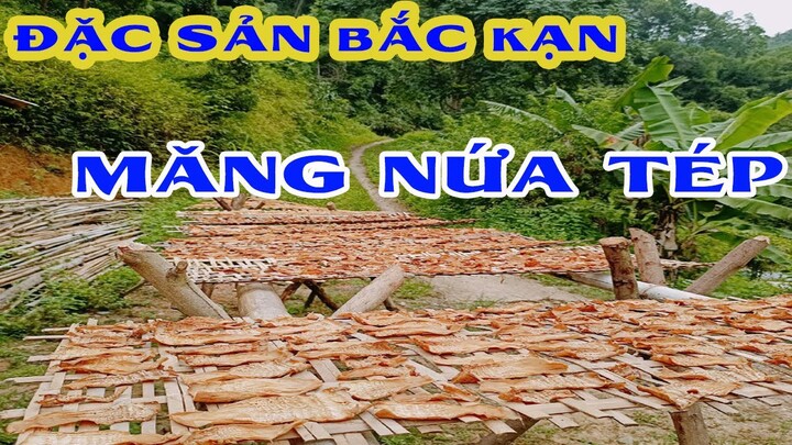 Quy trình làm măng khô (măng nứa tép) từ măng tươi || Đặc sản Bắc Kạn